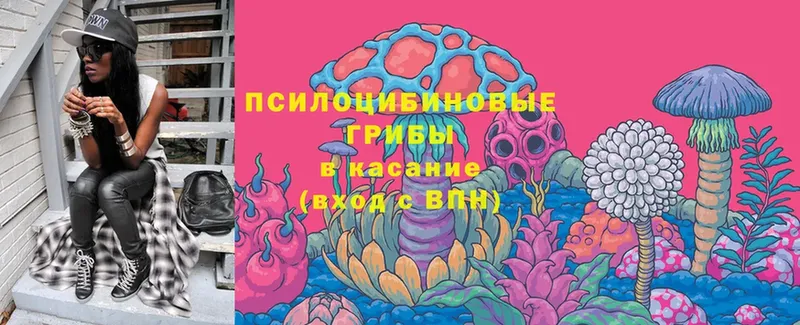 купить закладку  Камышлов  Галлюциногенные грибы Magic Shrooms 