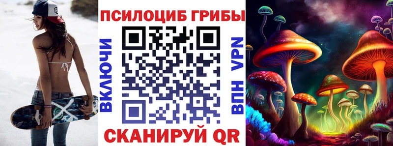 закладки  Камышлов  Псилоцибиновые грибы Psilocybine cubensis 