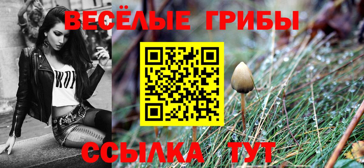 Псилоцибиновые грибы Psilocybe  Галлюциногенные грибы Cubensis  купить  цена  Камышлов  Вход с VPN 